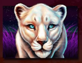 silver lioness
